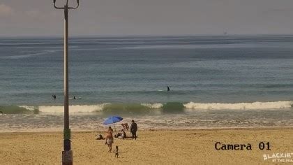 newport beach webcam|Surf Cams – Blackies By The Sea